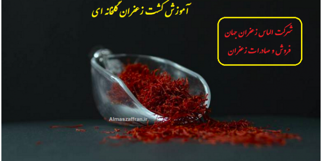 شبکه خرید و فروش زعفران