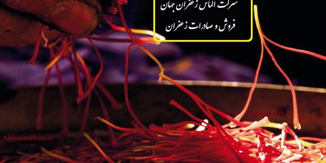 صادرات زعفران به بلژیک